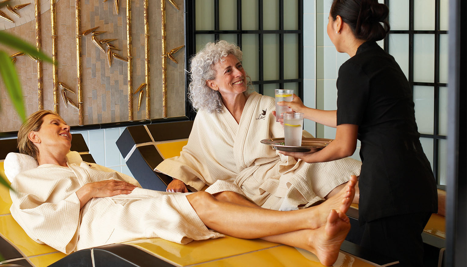 Princess Cruises Slides