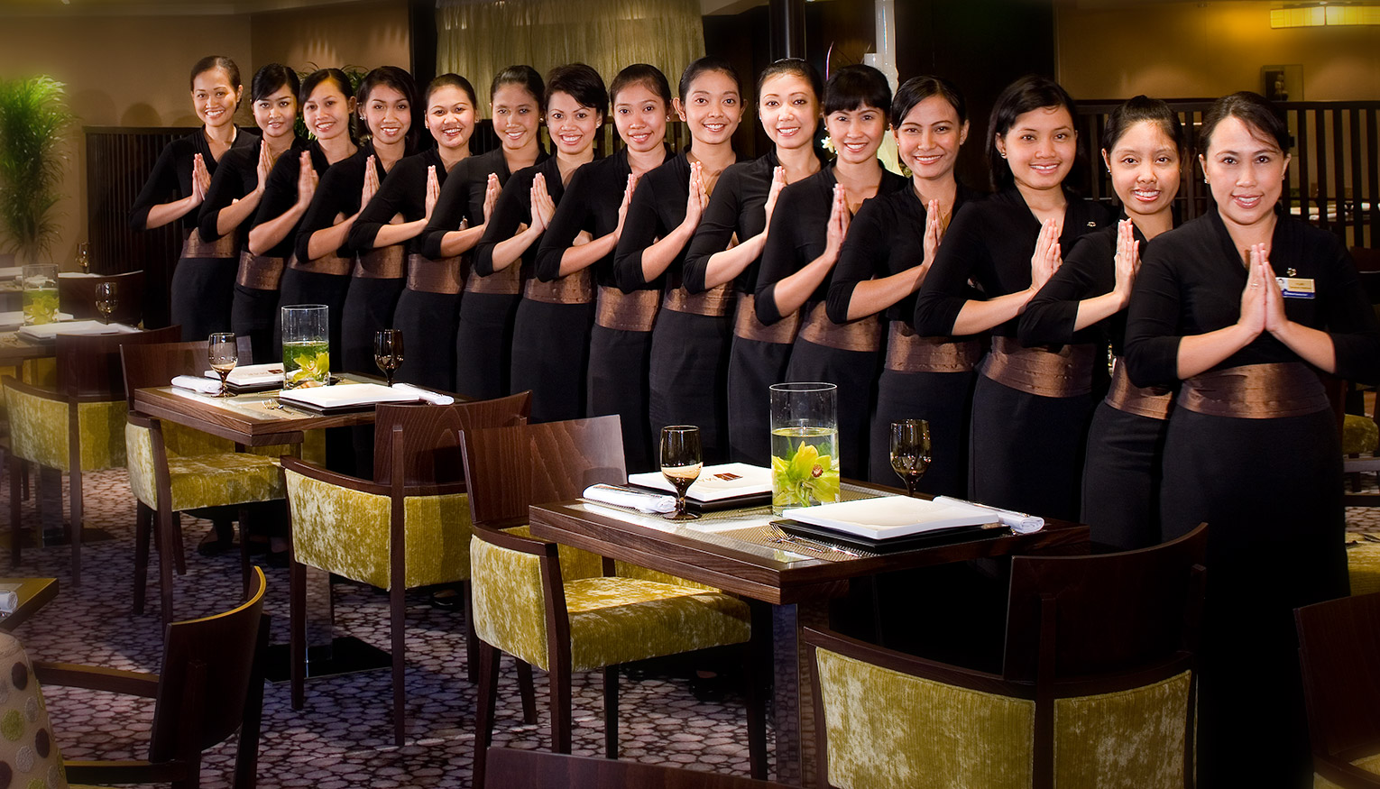 Holland America Line Slides