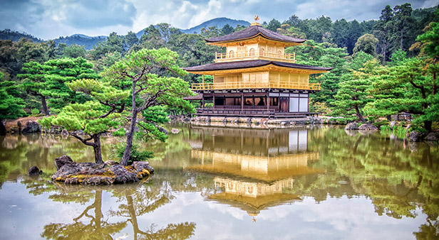 Celebrity Cruises Video