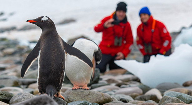 Viking Expeditions Video