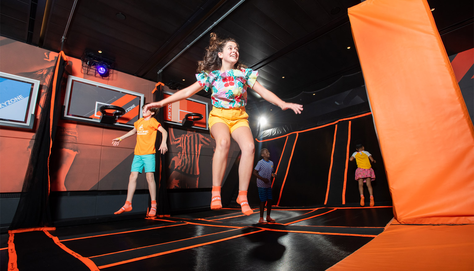 Carnival Cruise Line Slides