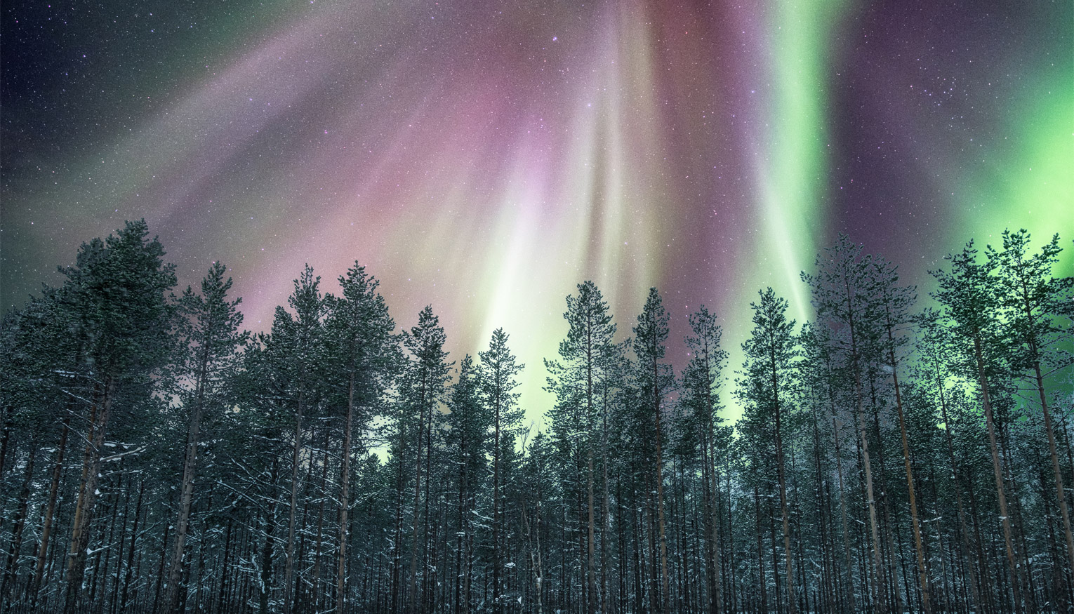 Arctic Vacations Slides