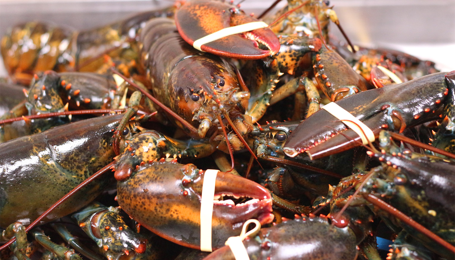 Canada & New England Vacations Slides