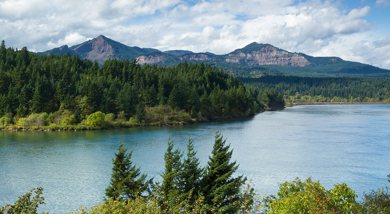 Columbia & Snake Rivers Cruises from Seattle, WA