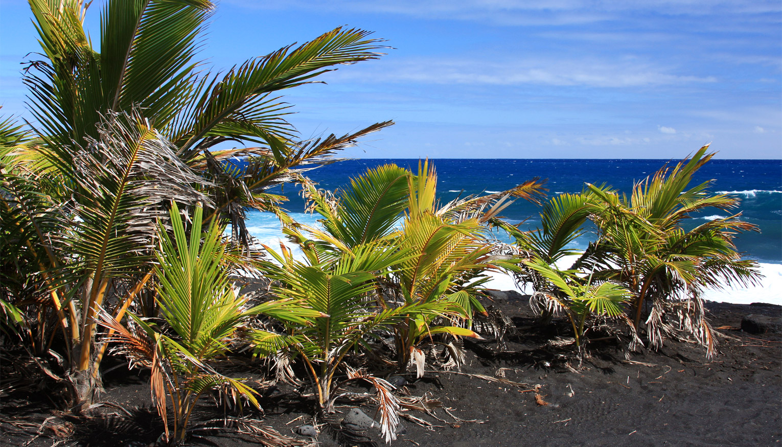 South Pacific Vacations Slides