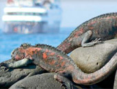 Celebrity Galapagos Cruise Tour