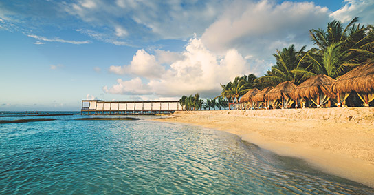 El Dorado Seaside Palms
