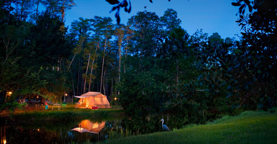 The Campsites at Disney's Fort Wilderness Resort