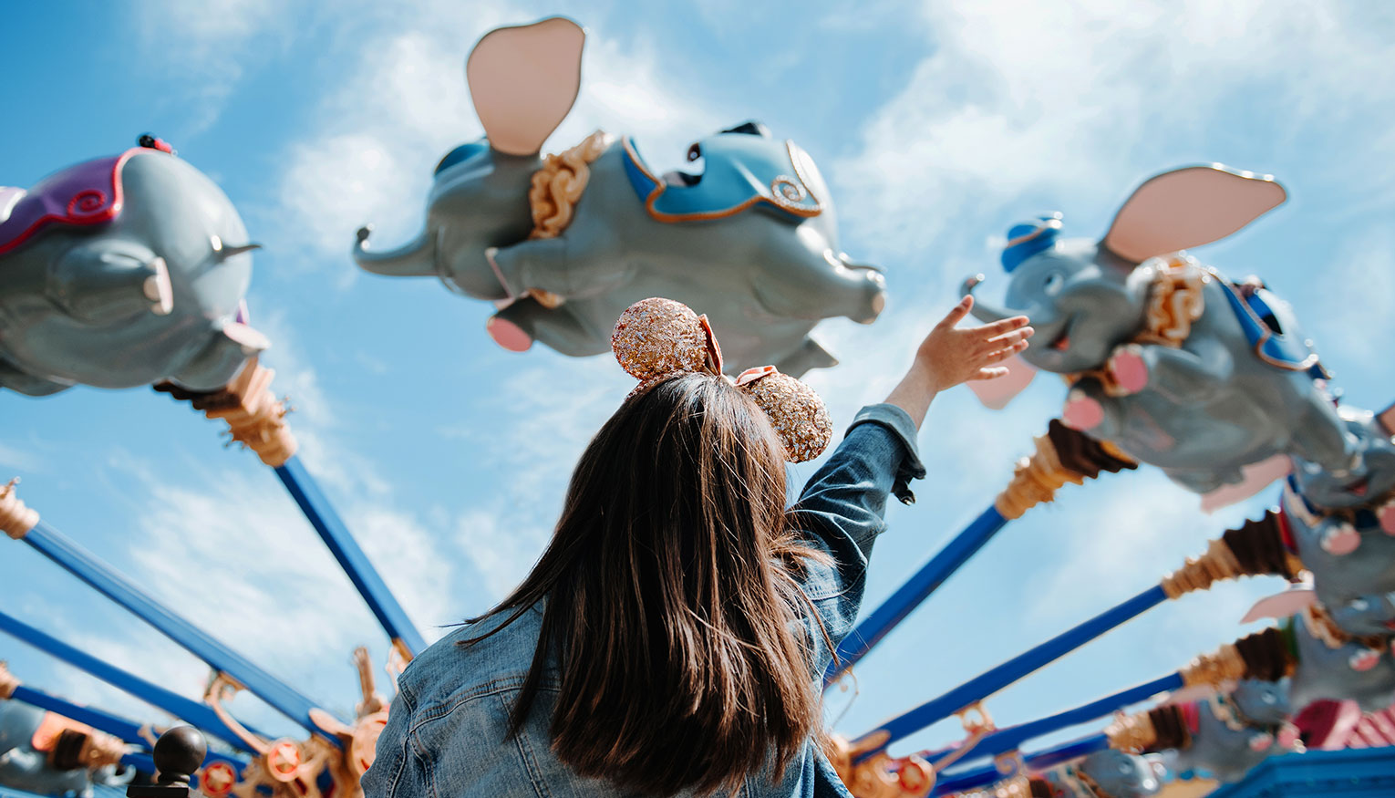 Walt Disney World Slides