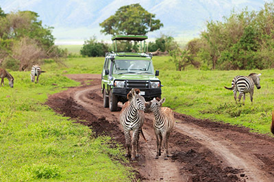 Christmas Cruises to Africa