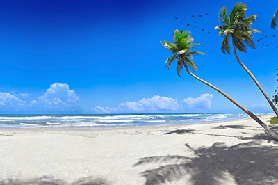 Christmas Cruises to the Caribbean