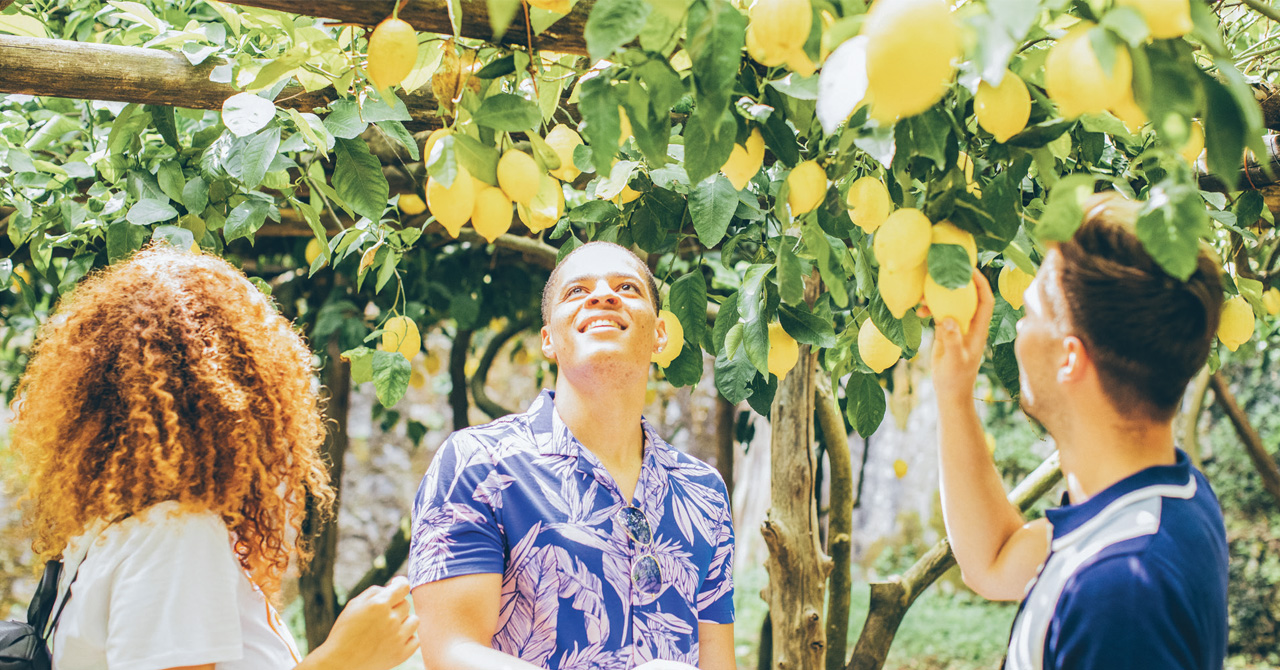 Past passengers Save More!