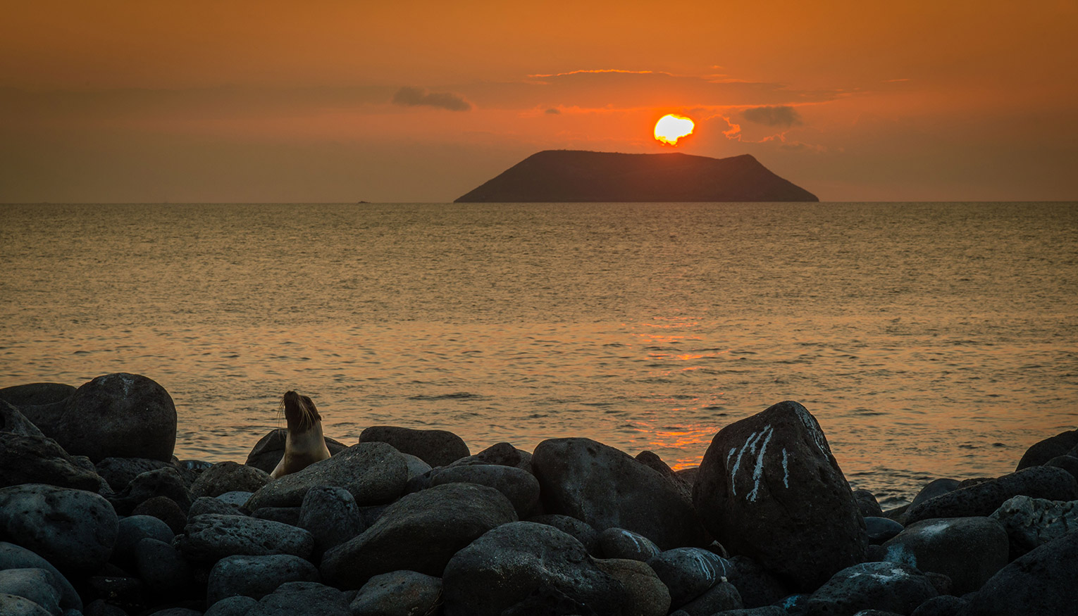 Gate 1 Travel Slides