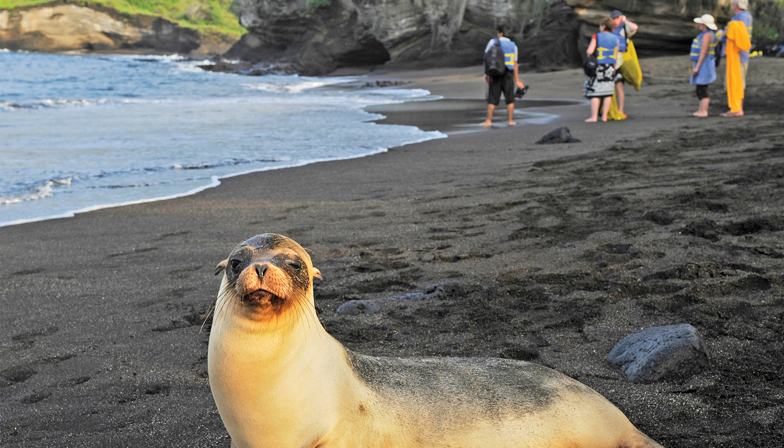 Adventures by Disney Slides