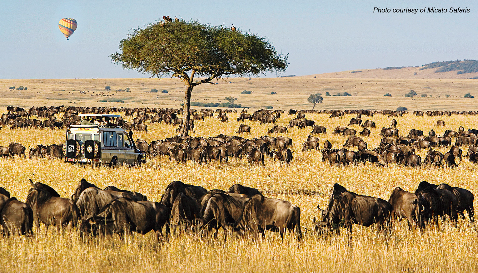 Micato Safaris Slides